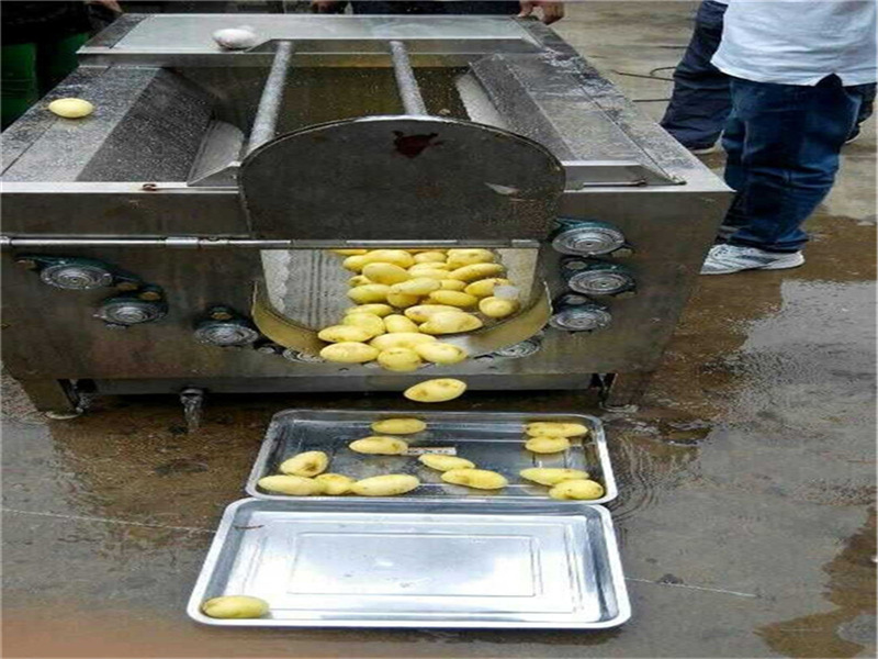 土豆去皮清洗机