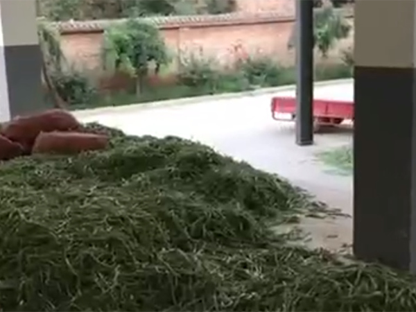 清洗漂烫机