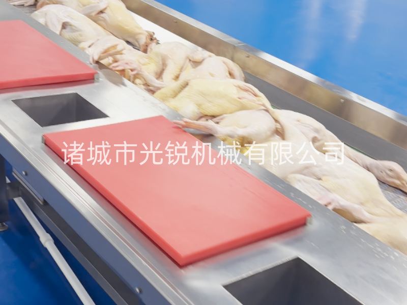 冻鸭加工不用愁！一站式解冻清洗分割流水线，效率翻倍！