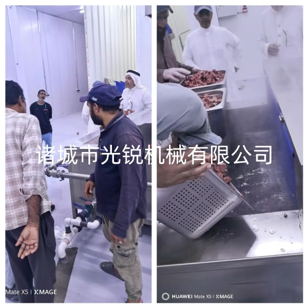 出海中东｜沙特肉制品漂烫生产线试机验收顺利