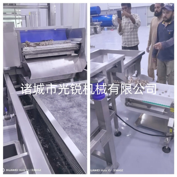 出海中东｜沙特肉制品漂烫生产线试机验收顺利