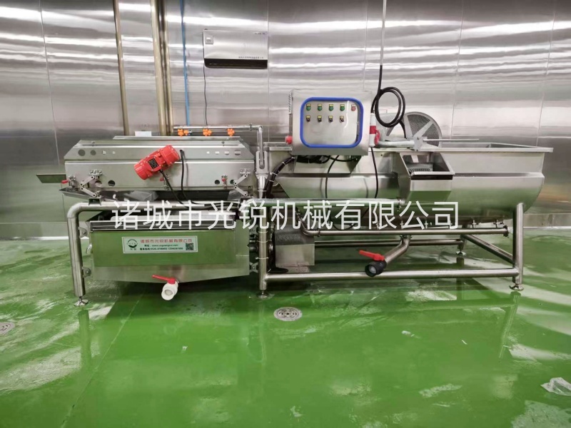 果蔬涡流清洗机