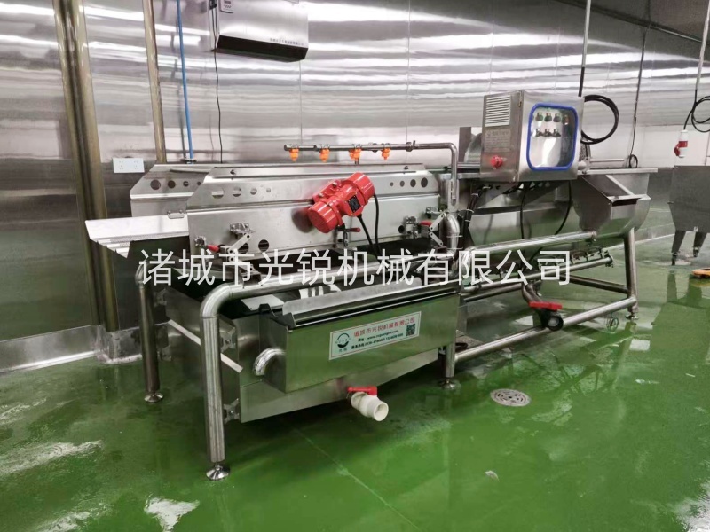果蔬涡流清洗机