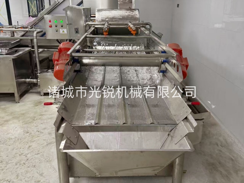果蔬涡流清洗机